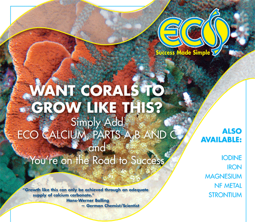 Eco-Calcium
