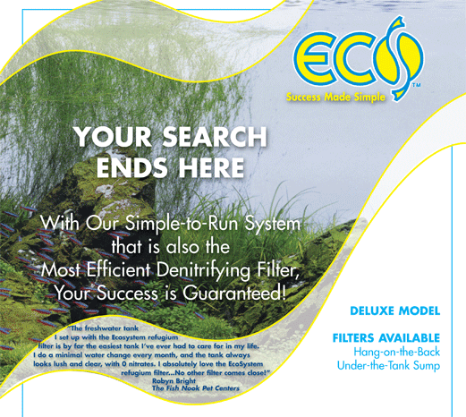 Fresh-Filter-main-page-for-web