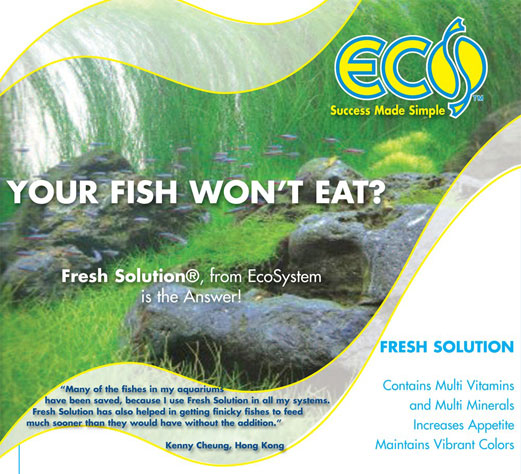 Fresh-Solution