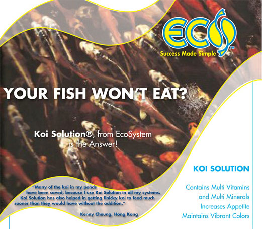 Koi-Solution