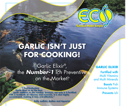 Photo-for-Garlic-Pond-main-page-on-web