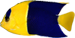 sublayer